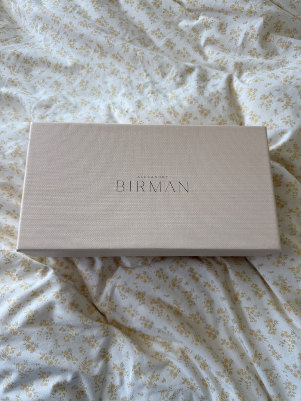 Alexandre Birman flats - Picture 5 of 5